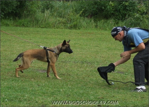 Summer training camp in Estonia 2007